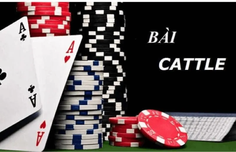 Học cách bỏ bài khi chơi catte 6 lá
